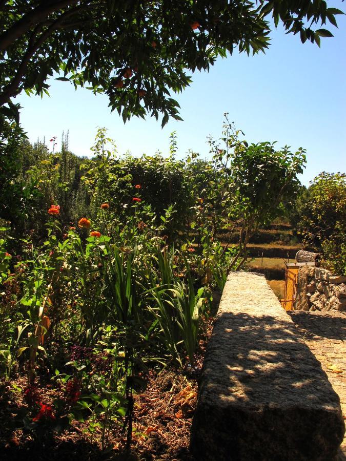 Casa Das Lapas سواجو المظهر الخارجي الصورة